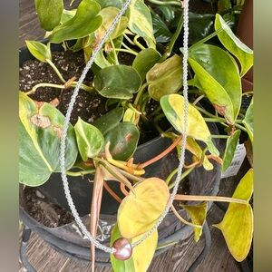 MSilver Necklace with Pink Edison Pearl